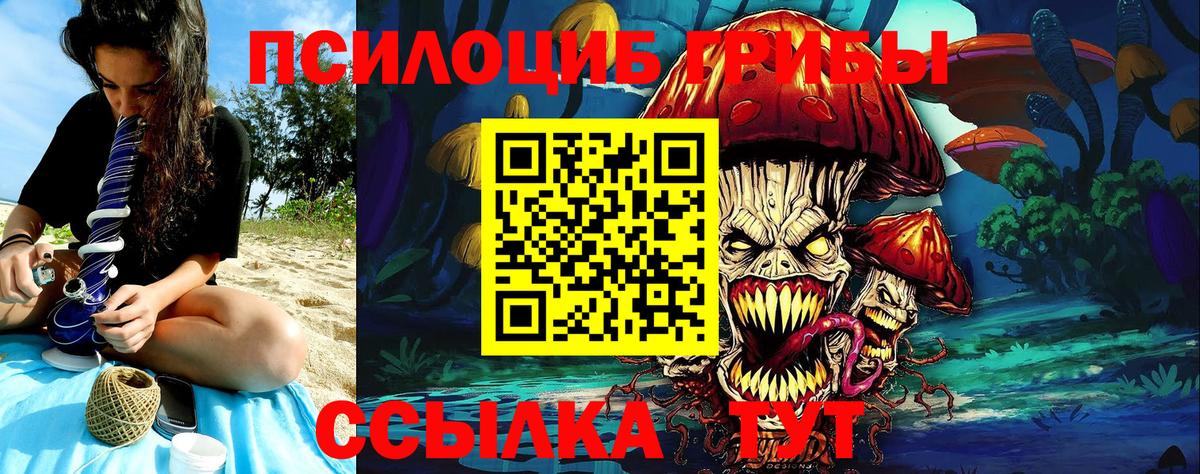 Псилоцибиновые грибы Psilocybe  Вход с VPN  Заволжье 