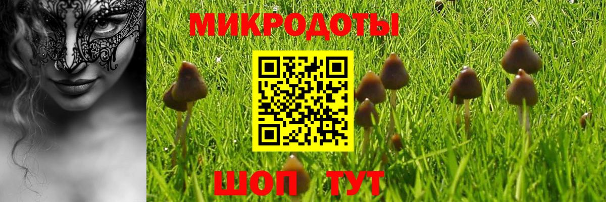 Галлюциногенные грибы GOLDEN TEACHER Заволжье